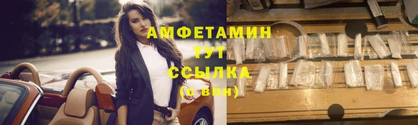 шишки Баксан