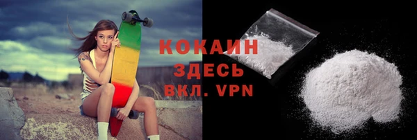 шишки Баксан
