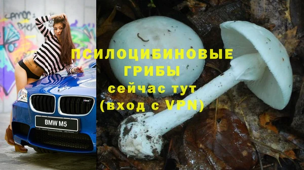 шишки Баксан