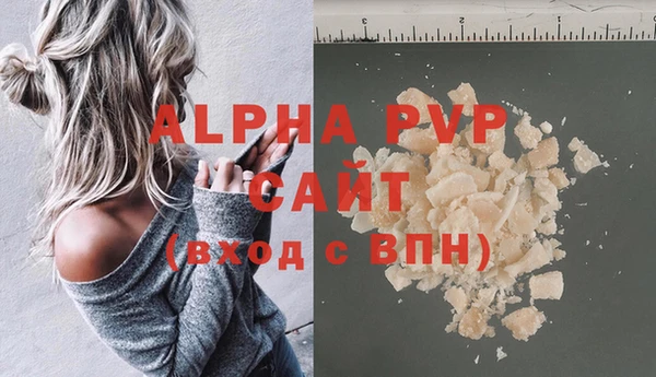 шишки Баксан