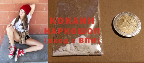 шишки Баксан