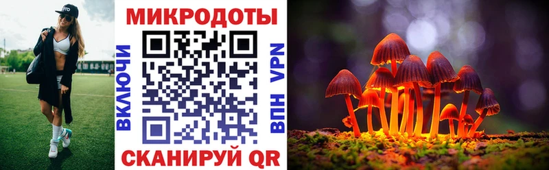 купить наркотик  Барабинск  Псилоцибиновые грибы мицелий 