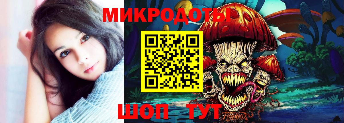 Псилоцибиновые грибы Psilocybine cubensis Барабинск