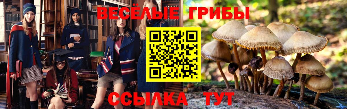 Псилоцибиновые грибы MAGIC MUSHROOMS  Вход с VPN  закладки  Барабинск  Псилоцибиновые грибы Cubensis 